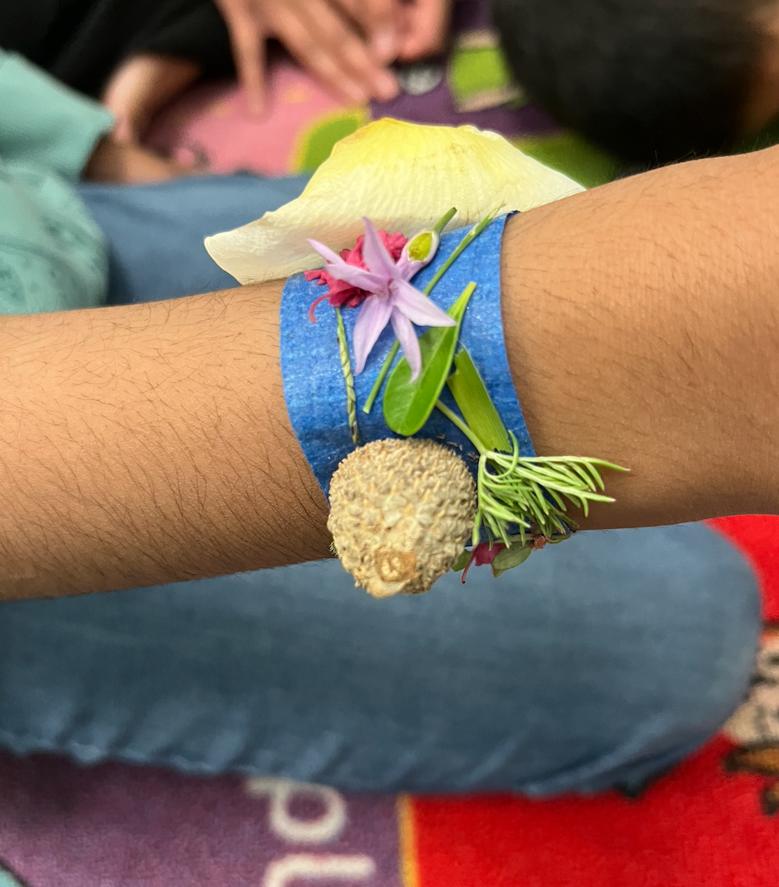 Read more about the article November Newsletter 2022